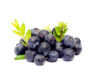 capella Blueberry