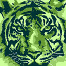 jade tiger