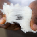 carded cotton coils