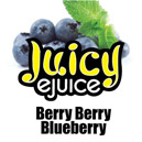 blueberry ejuice